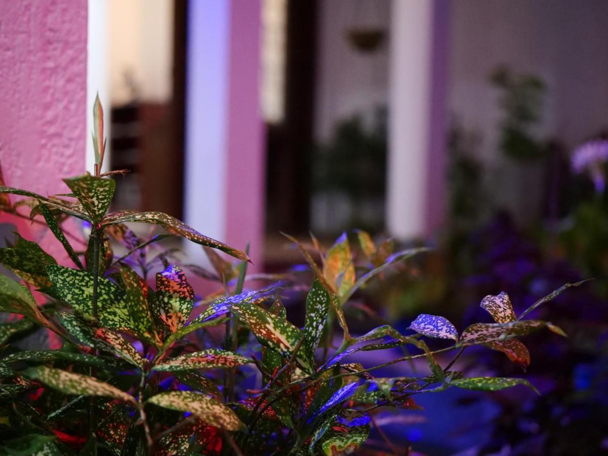 Elegance Oasis, Colombo 3 호텔 외부 사진